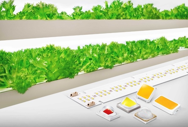 삼성전자 식물 생장용 LED 패키지와 모듈(사진=삼성전자)
