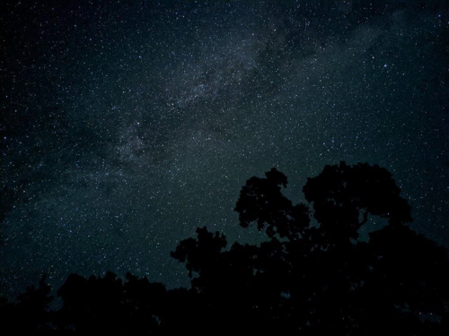구글 픽셀4로 촬영한 밤하늘 사진 (사진=구글)