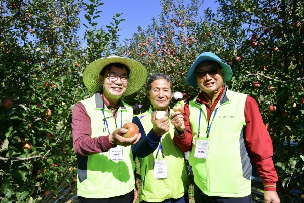 이대훈 NH농협은행장(왼쪽)이 VVIP들과 전남 곡성에서 사과 수확을 하고 있다.(사진=NH농협은행)