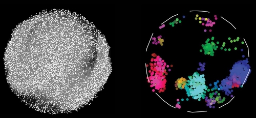 사상 최대 규모의 인간 단백질 지도 유전자 암호로 생성되는 단백질의 상호작용을 기록한 '인간 단백질 지도'(좌).상호작용이 비슷해 같은 색깔로 묶은 단백질 그룹(우)은 세포 내서 다른 생리 작용에 관여한다.[다나-파버 암 연구소 Katja Luck 제공]