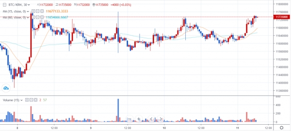6월11일 오전 8시 반 기준 국내 비트코인 가격 추이 (자료=빗썸)