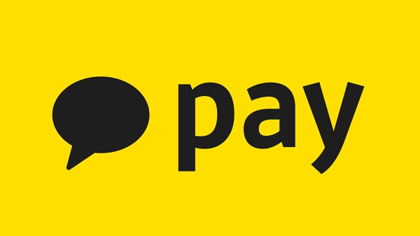 카카오페이가 내년 상반기 증시 입성을 목표로 28일 금융감독원에 감사인 지정을 신청한다.