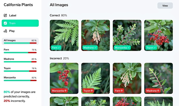 로브(Lobe) 머신러닝 모델링 애플리케이션 [사진: MS]