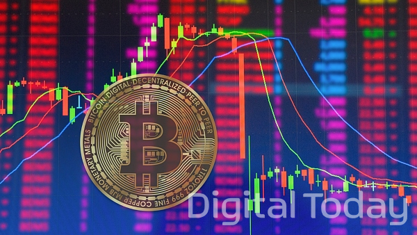 가상자산 암호화폐 시세 변동 급락 급등 폭등 폭락