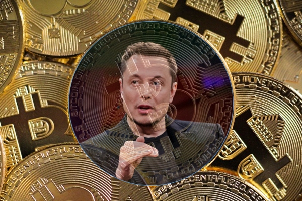 일론 머스크가 비트코인 지지자임을 밝혔다 [사진: 픽사베이]