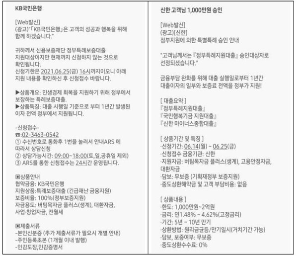 불법 대부광고 스팸문자 유형. [사진: 금융감독원]