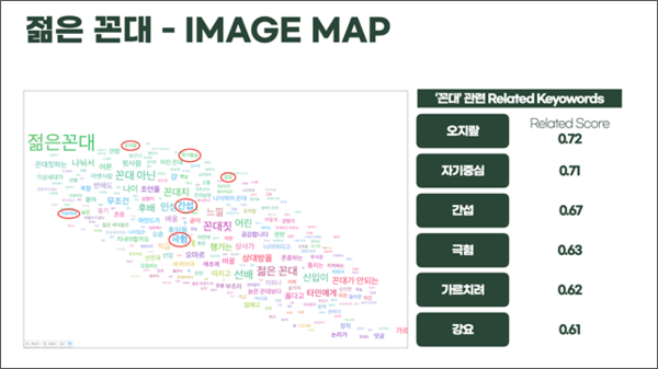 꼰대와 관련한 연관 키워드 분석 내용 /출처: 헤일로에이트 AI Text 분석 솔루션 Luminoso
