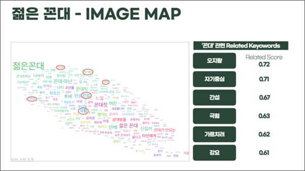 꼰대와 관련한 연관 키워드 분석 내용                           /출처: 헤일로에이트 AI Text 분석 솔루션 Luminoso