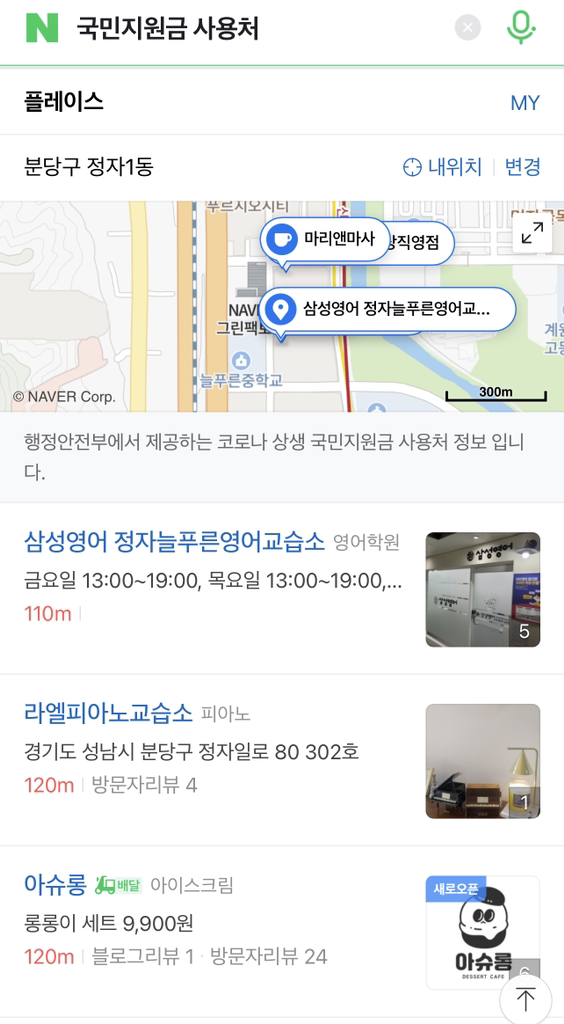 상생국민지원금 예시화면 [사진:네이버]