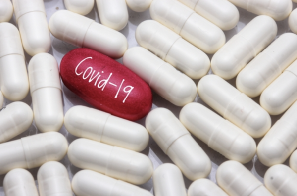 [사진: 셔터스톡]