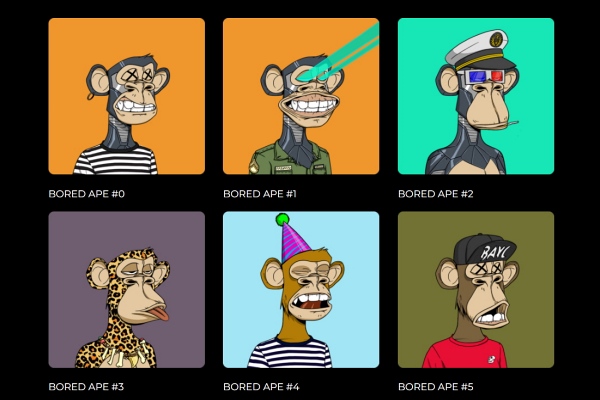 BAYC NFT 캐릭터 [사진: BAYC]