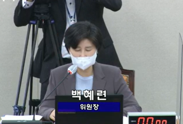 백혜련 정무위원장 [사진:국회]