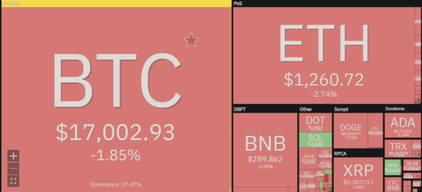 가상자산 시황 [사진:코인360]