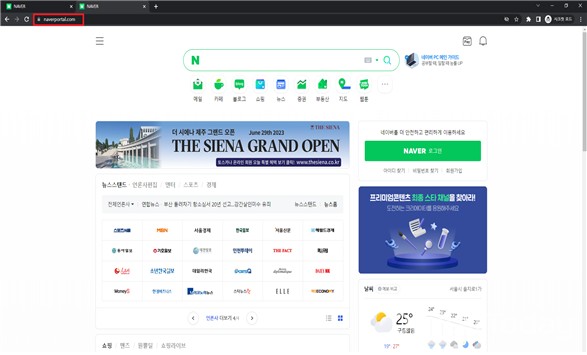 복제된 가짜 네이버 모습 [사진: 국가정보원]