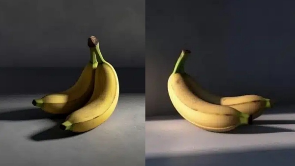 [사진: 디지털 사이언스(Digital Science)]