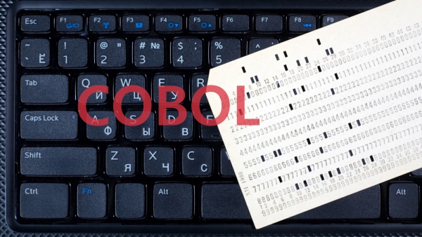 코볼(COBOL) [사진: 셔터스톡]
