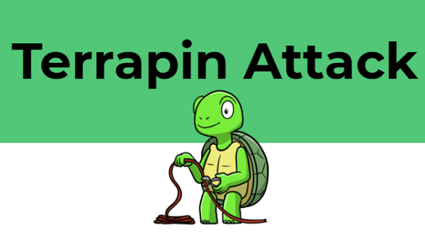 SSH프로토콜을 무력화하는 새로운 테라핀 공격 사례가 발견됐다 [사진: terrapin-attack.com]