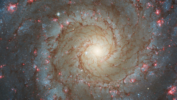 NASA 제임스웹이 촬영한 은하 NGC628 [사진: NASA]