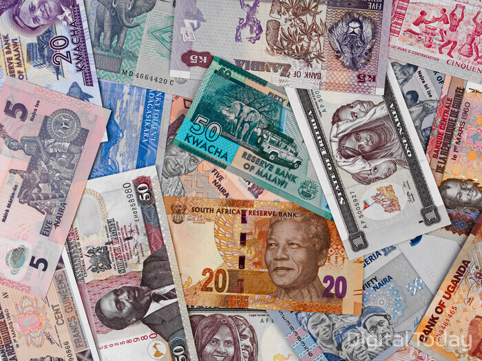 아프리카 화폐들 [사진: 셔터스톡]