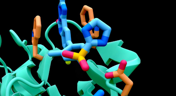 구글의 AI 신약개발 자회사 아이소모픽 랩스가 알파폴드3 관련 새로운 이미지를 공개했다. [사진: 구글]