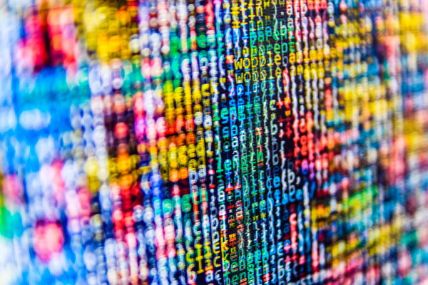 [사진: 셔터스톡]