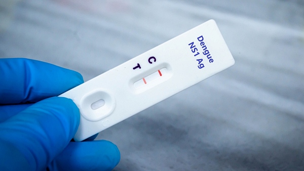 유럽에 뎅기열 주의보가 내려졌다 [사진: 셔터스톡]