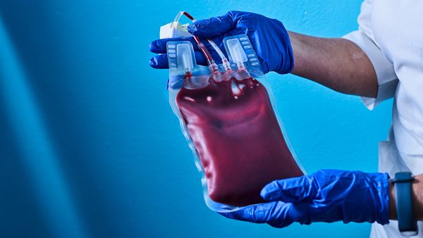 혈액 부족을 해결할 것으로 기대되는 인공혈액 기술은 어디까지 발전했을까. [사진: 셔터스톡]