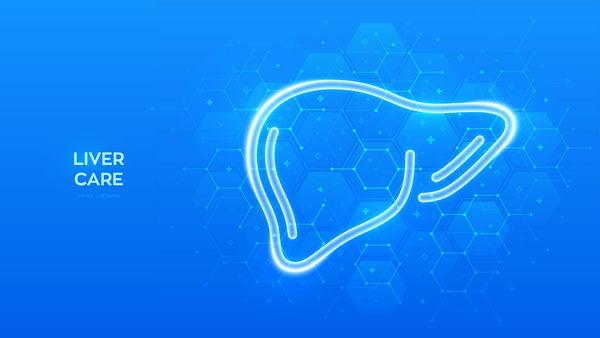 간세포의 노화 관련 손상을 되돌릴 수 있는 가능성이 제기됐다. [사진: 셔터스톡]