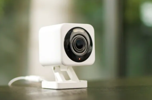 "뒷마당 고양이 보여줘"…스마트 홈 카메라 '와이즈', AI 검색 기능 테스... - 뉴스 썸네일 이미지