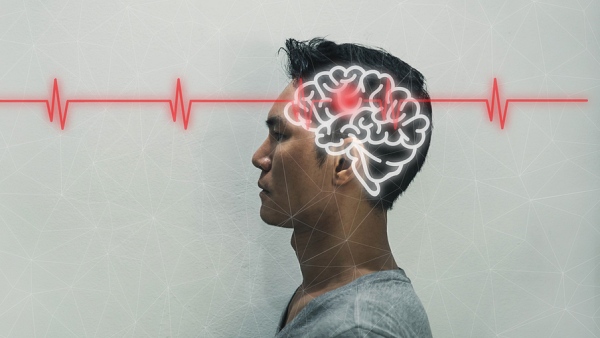 일상적인 행동은 2주간 뇌에 영향을 미친다. [사진: 셔터스톡]