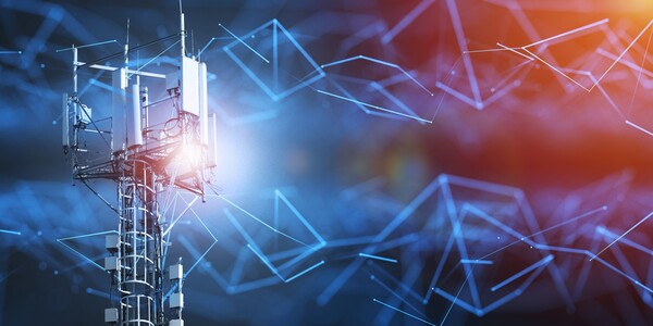 [사진 : 셔터스톡]