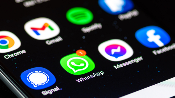 [사진: 셔터스톡]