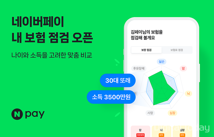 [사진: 네이버페이]