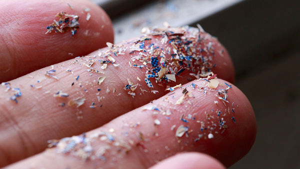 미세플라스틱 [사진: 셔터스톡]