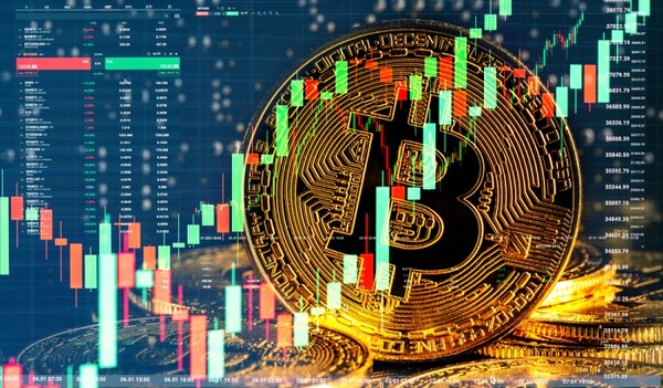 비트파이넥스 BTC 마진 롱 포지션 6개월 만 최고…강세 신호탄?