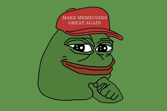 밈 코인 페페(Pepe) [사진: 페페 코인]