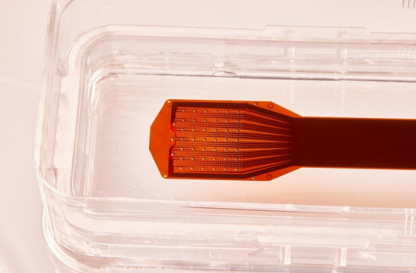 프리시전 뉴로사이언스, 美 FDA 승인 획득…뉴럴링크에 도전장