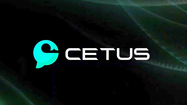 수이(Sui) 블록체인 기반 탈중앙화 거래소(DEX) 세투스(Cetus) [사진: 세투스]