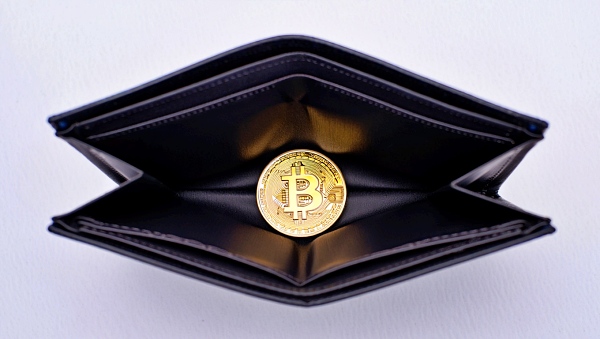 비트코인 [사진: Reve AI]