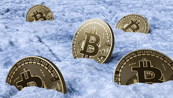 [사진: 셔터스톡]