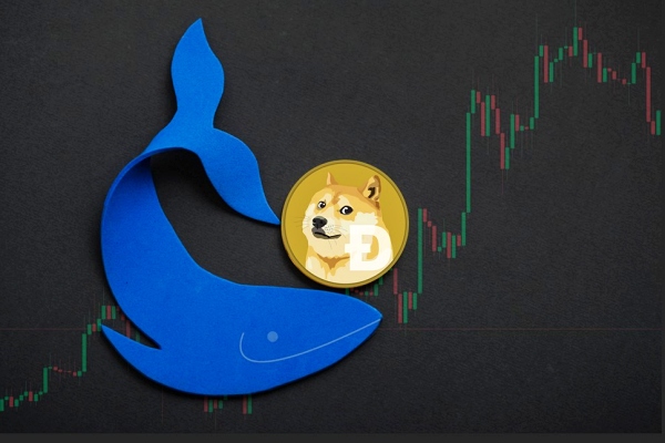 도지코인(DOGE) 고래들의 움직임이 활발하다 [사진: 셔터스톡]