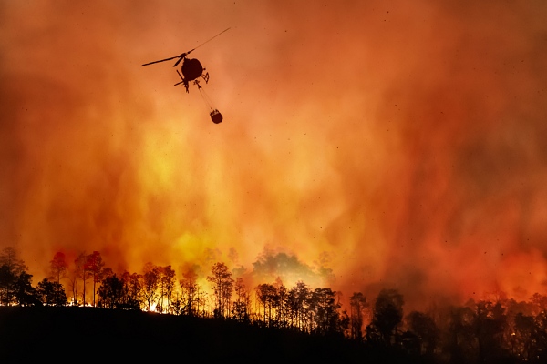 전력선 문제로 인한 산불을 예방하는 기술이 개발됐다. [사진: 셔터스톡]