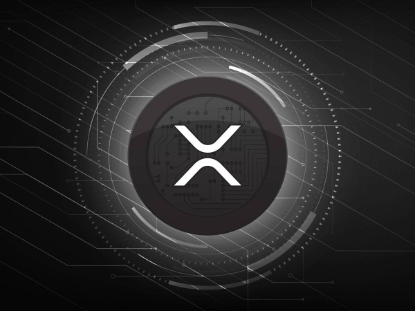 XRP, 2035년 미국 ETF 시장 진입 시 100달러 돌파 가능성 [사진: Reve AI]