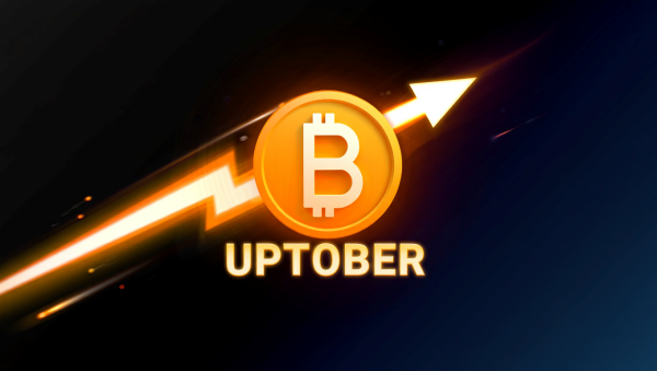 10월 '업토버' 시즌왔다…BTC 강세 시동, 4년 주기설 재조명