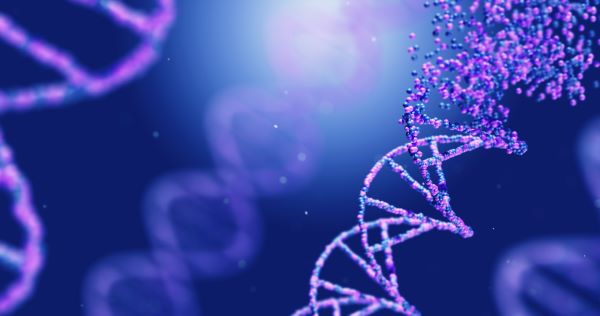 [사진: 셔터스톡]