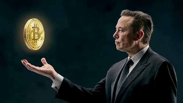 일론 머스크가 비트코인을 공개지지하고 나섰다 [사진: Reve AI]