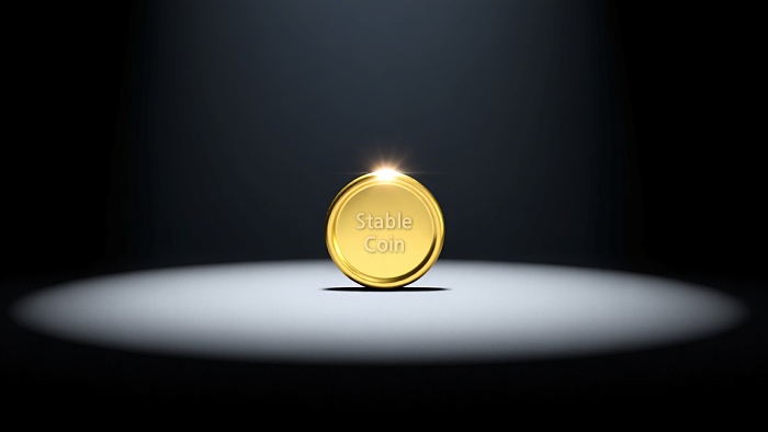 스테이블코인 결제 전용 블록체인 템포, 50억달러 가치로 5억달러 투자... - 뉴스 썸네일 이미지