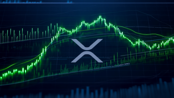 XRP, 장기 보유자 매도 줄고 단기 투자자 유입…강세 시그널