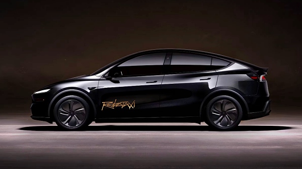 테슬라 로보택시 서비스 [사진: 테슬라]