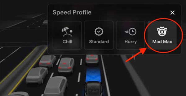 테슬라 매드맥스 모드 [사진: 일렉트렉]